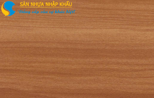 san-nhua-ecost-ec404.jpg